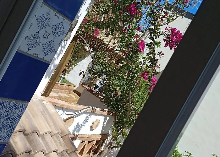 Pepa Bajondillo Torremolinos