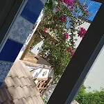 Pepa Bajondillo טורמולינוס