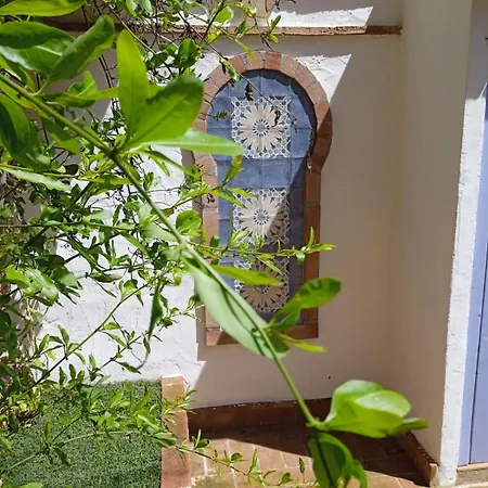 Pepa Bajondillo דירה *