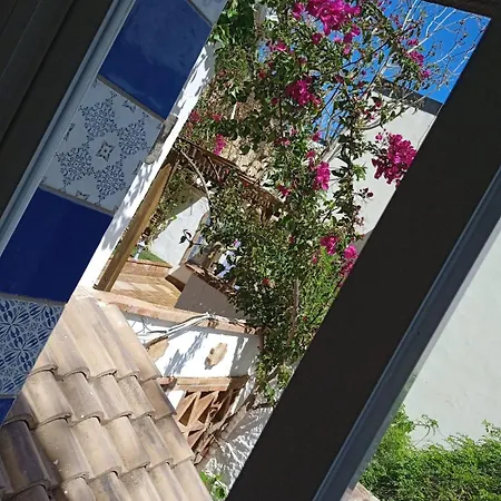 Pepa Bajondillo Torremolinos